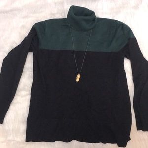 Colorblock turtleneck